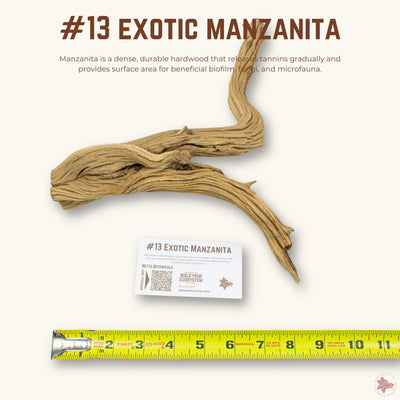 Exotic Manzanita | WYSIWYG Pieces