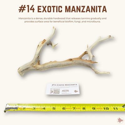 Exotic Manzanita | WYSIWYG Pieces
