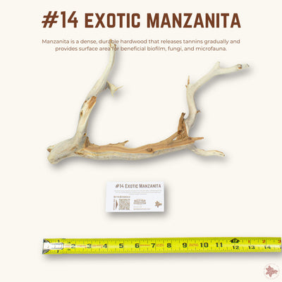 Exotic Manzanita | WYSIWYG Pieces