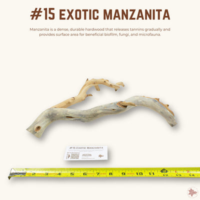 Exotic Manzanita | WYSIWYG Pieces