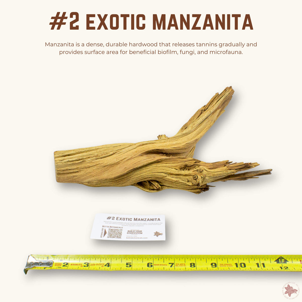 Exotic Manzanita | WYSIWYG Pieces