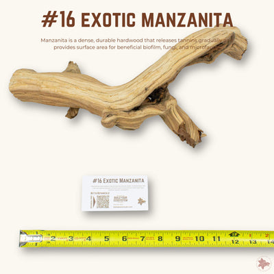 Exotic Manzanita | WYSIWYG Pieces