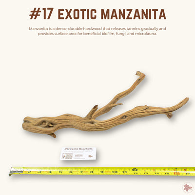 Exotic Manzanita | WYSIWYG Pieces
