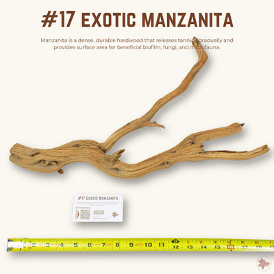 Exotic Manzanita | WYSIWYG Pieces