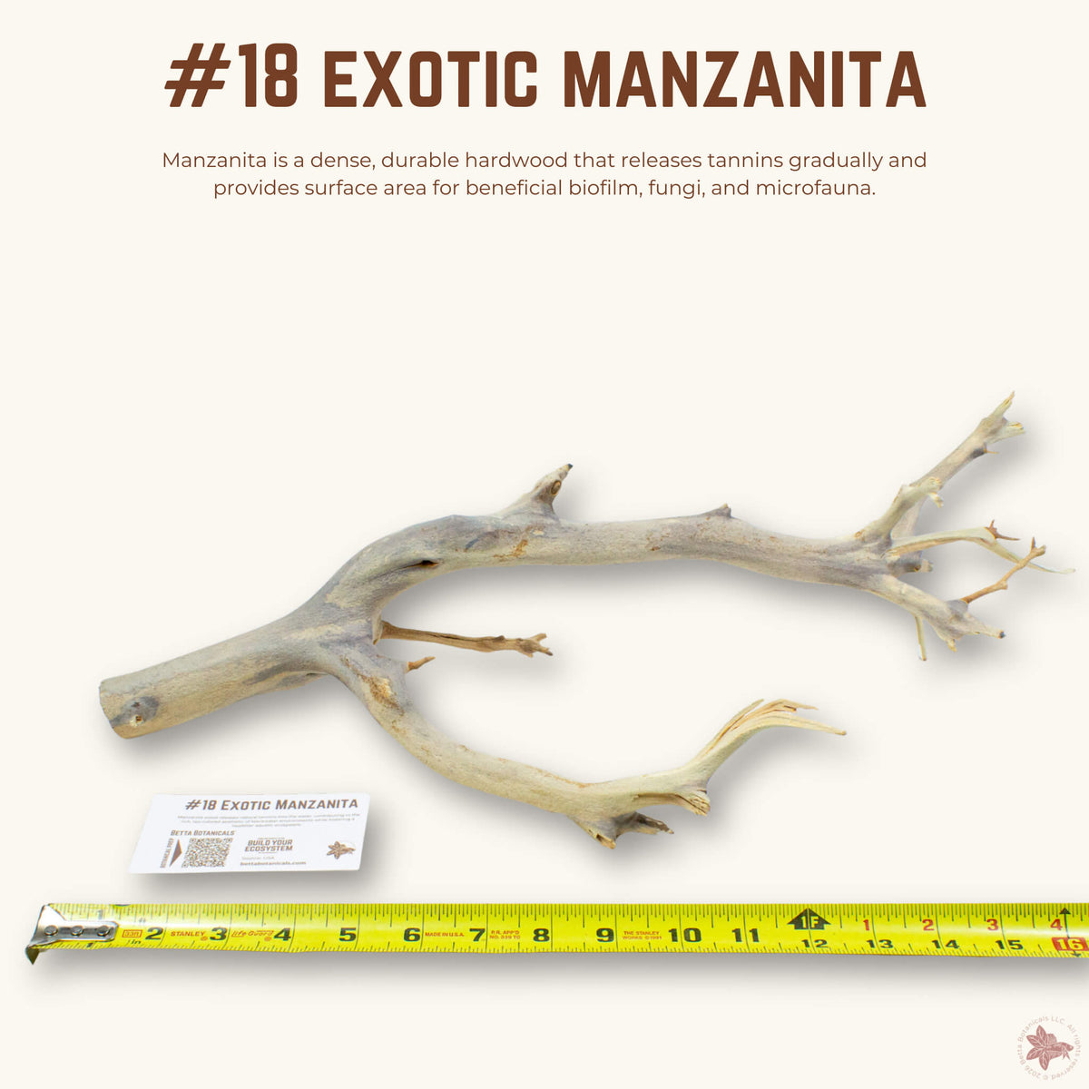 Exotic Manzanita | WYSIWYG Pieces