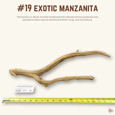 Exotic Manzanita | WYSIWYG Pieces