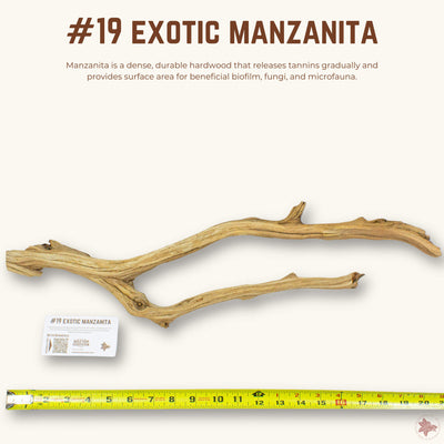 Exotic Manzanita | WYSIWYG Pieces