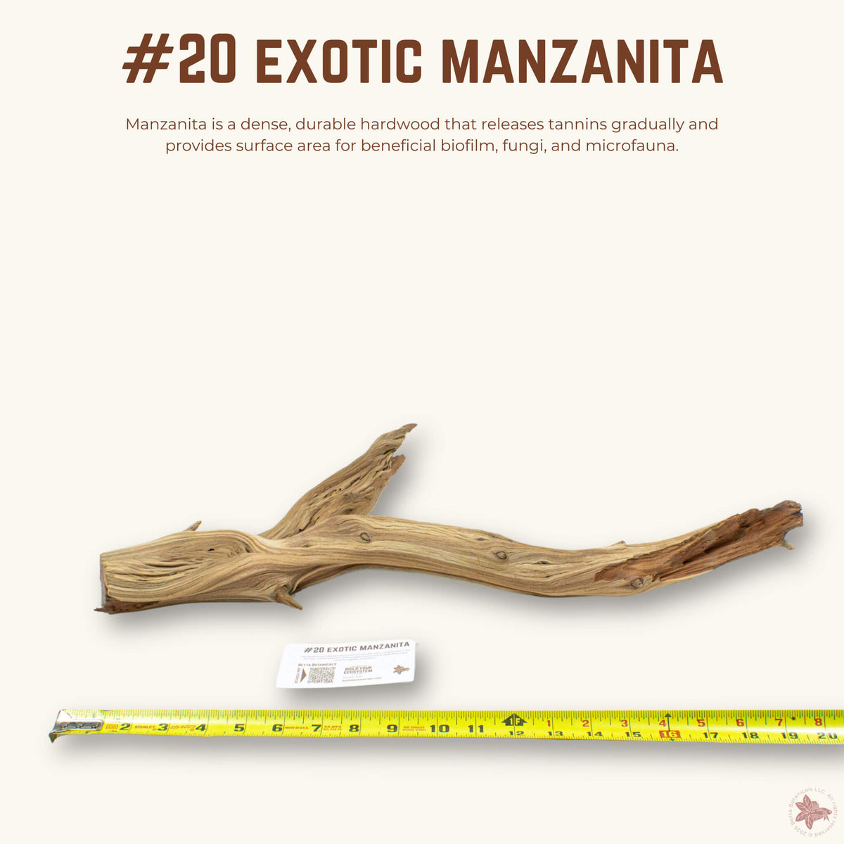 Exotic Manzanita | WYSIWYG Pieces