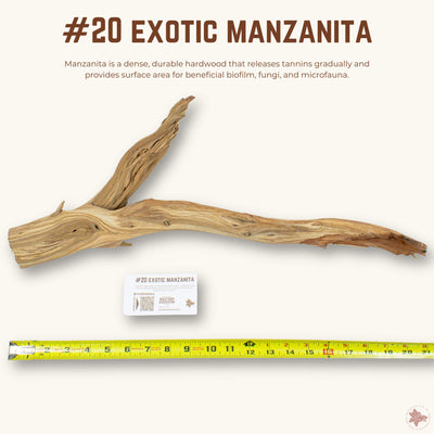 Exotic Manzanita | WYSIWYG Pieces