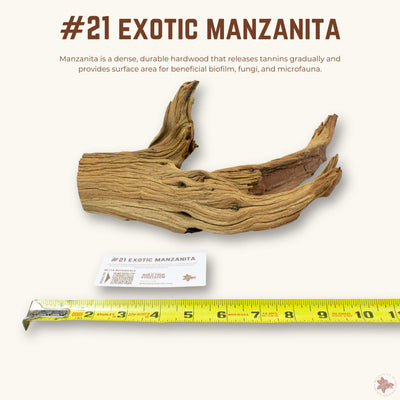 Exotic Manzanita | WYSIWYG Pieces
