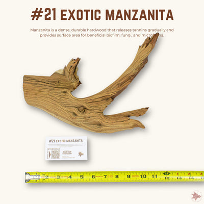 Exotic Manzanita | WYSIWYG Pieces