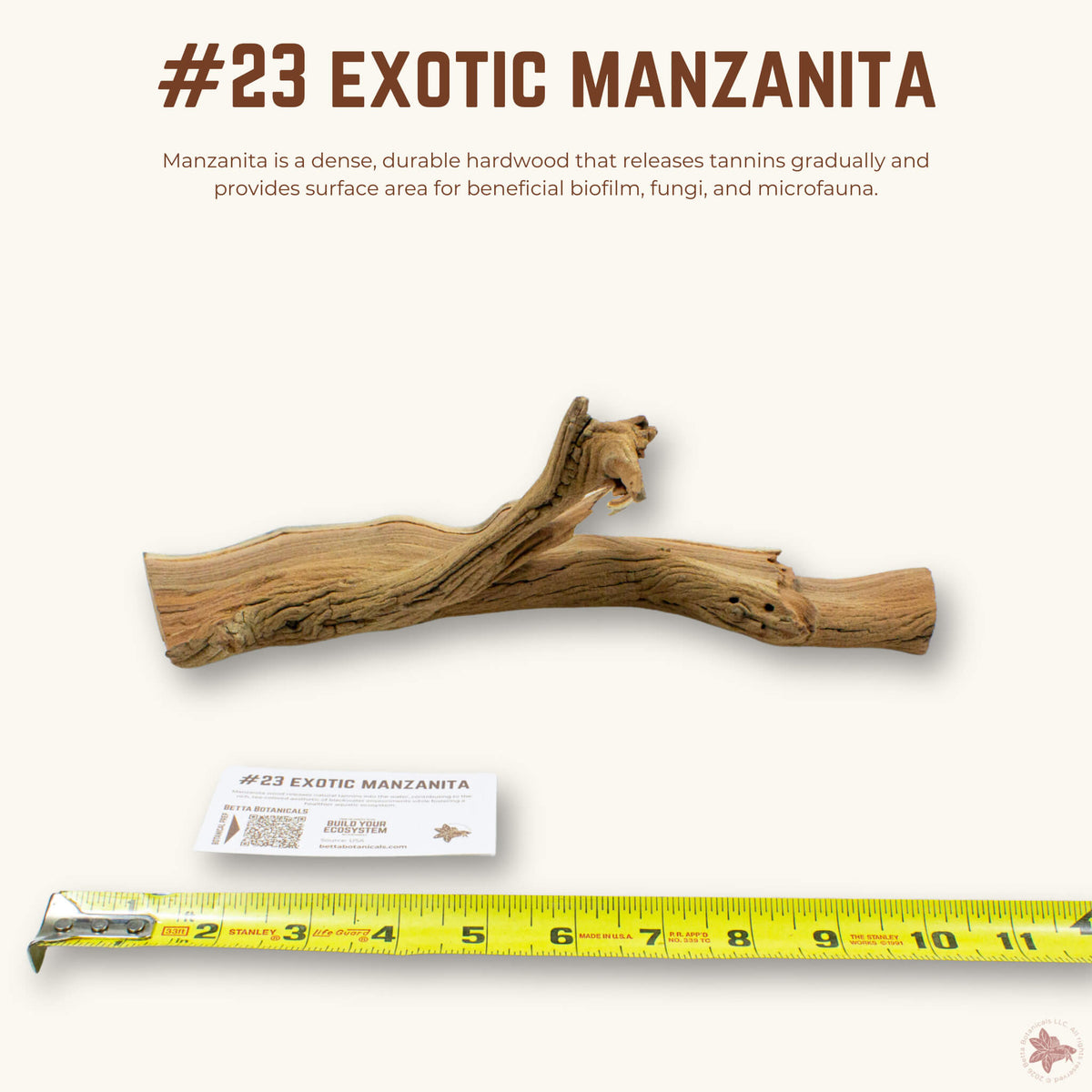 Exotic Manzanita | WYSIWYG Pieces