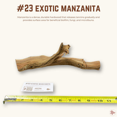 Exotic Manzanita | WYSIWYG Pieces