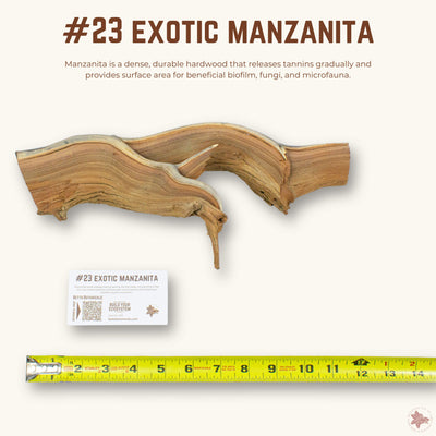 Exotic Manzanita | WYSIWYG Pieces