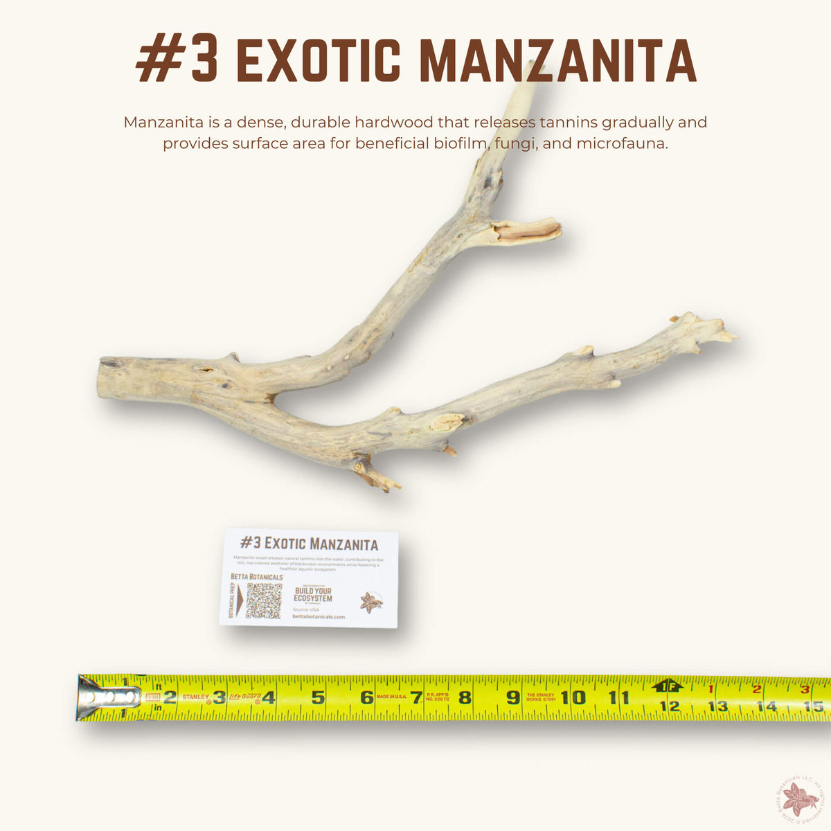Exotic Manzanita | WYSIWYG Pieces