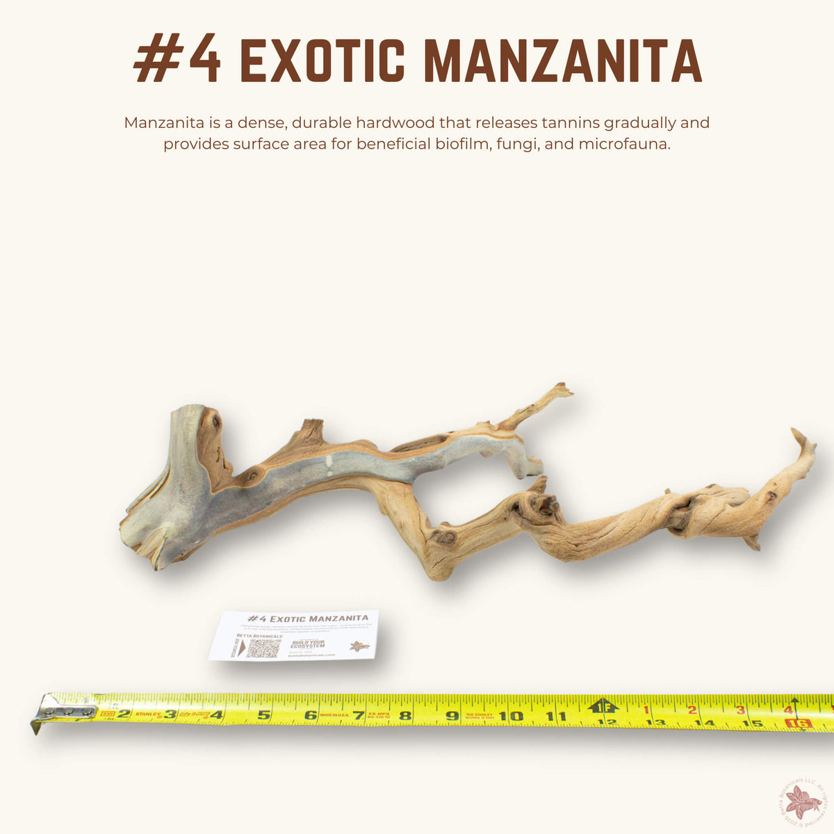 Exotic Manzanita | WYSIWYG Pieces