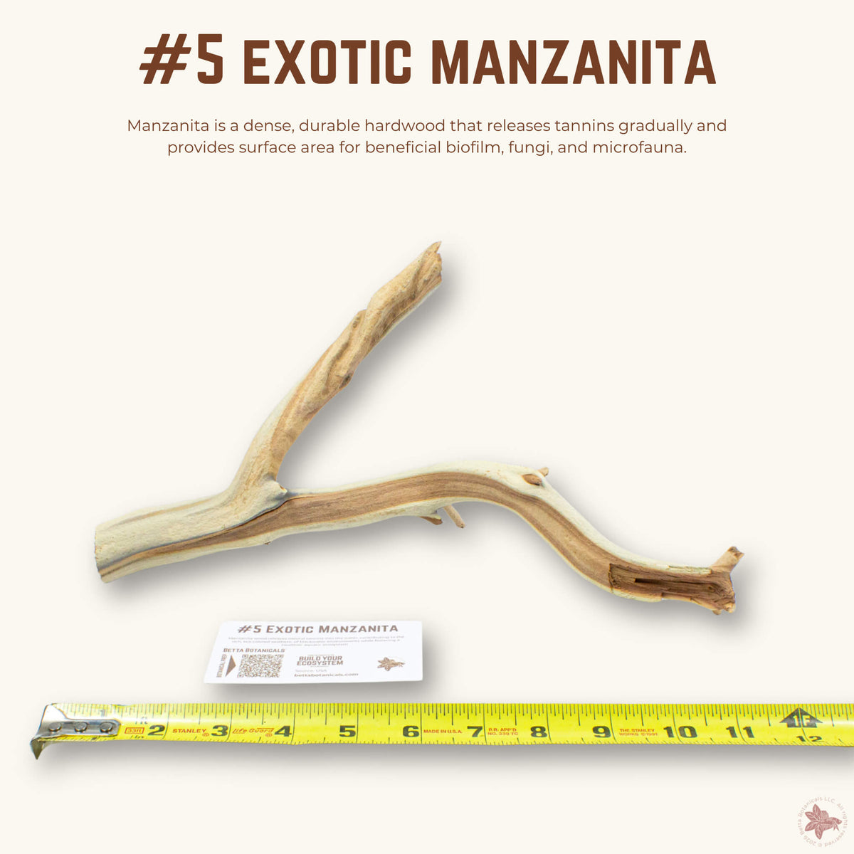 Exotic Manzanita | WYSIWYG Pieces