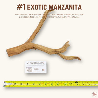 Exotic Manzanita | WYSIWYG Pieces