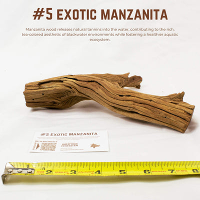 Exotic Manzanita | WYSIWYG Pieces