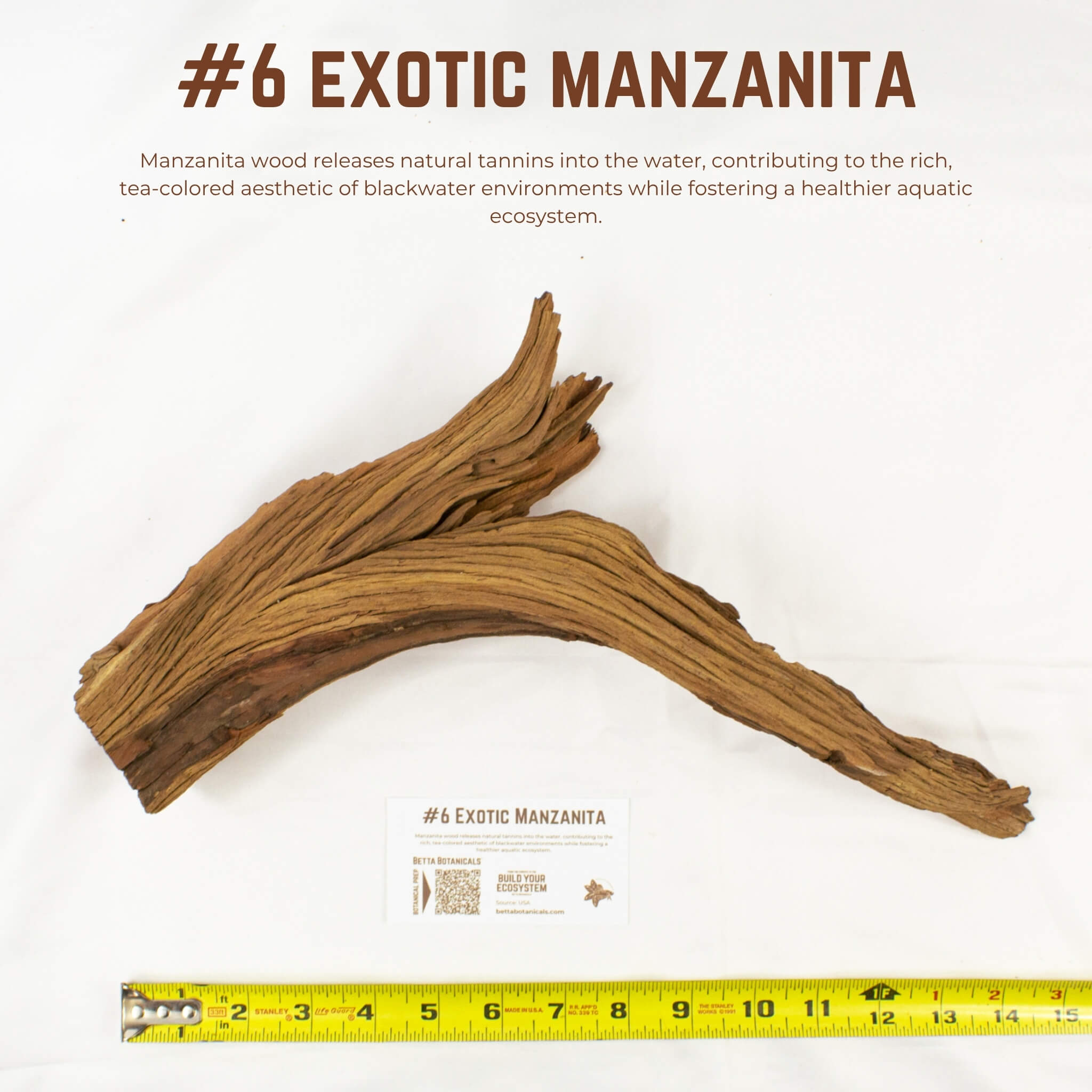 Exotic Manzanita | WYSIWYG Pieces