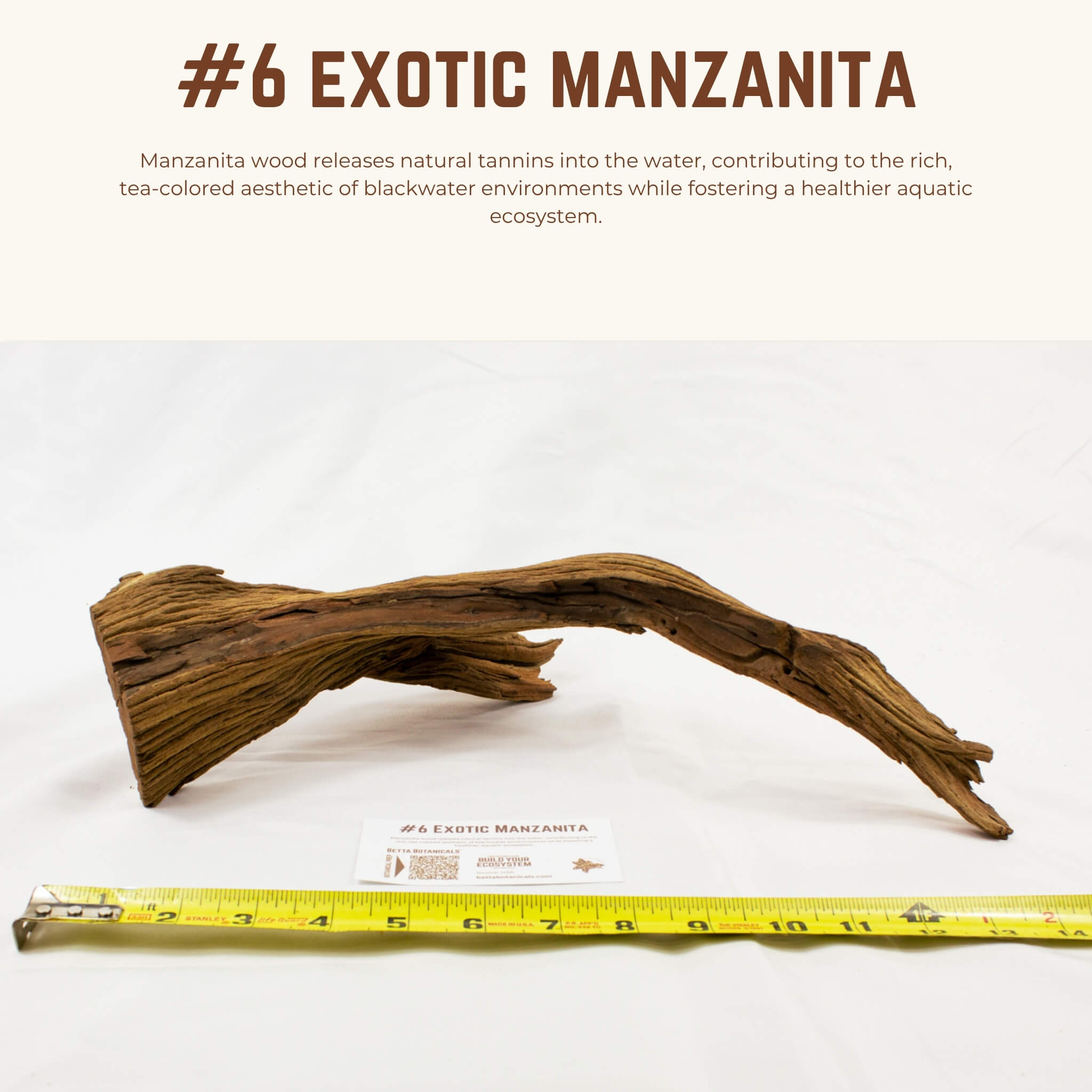 Exotic Manzanita | WYSIWYG Pieces
