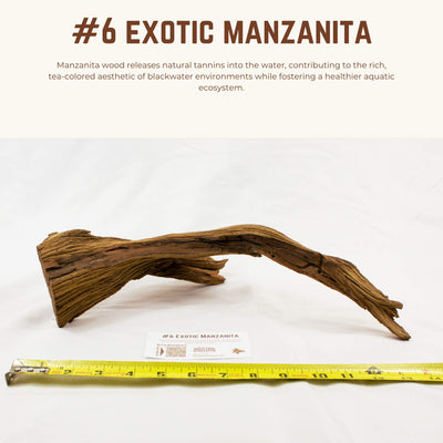 Exotic Manzanita | WYSIWYG Pieces