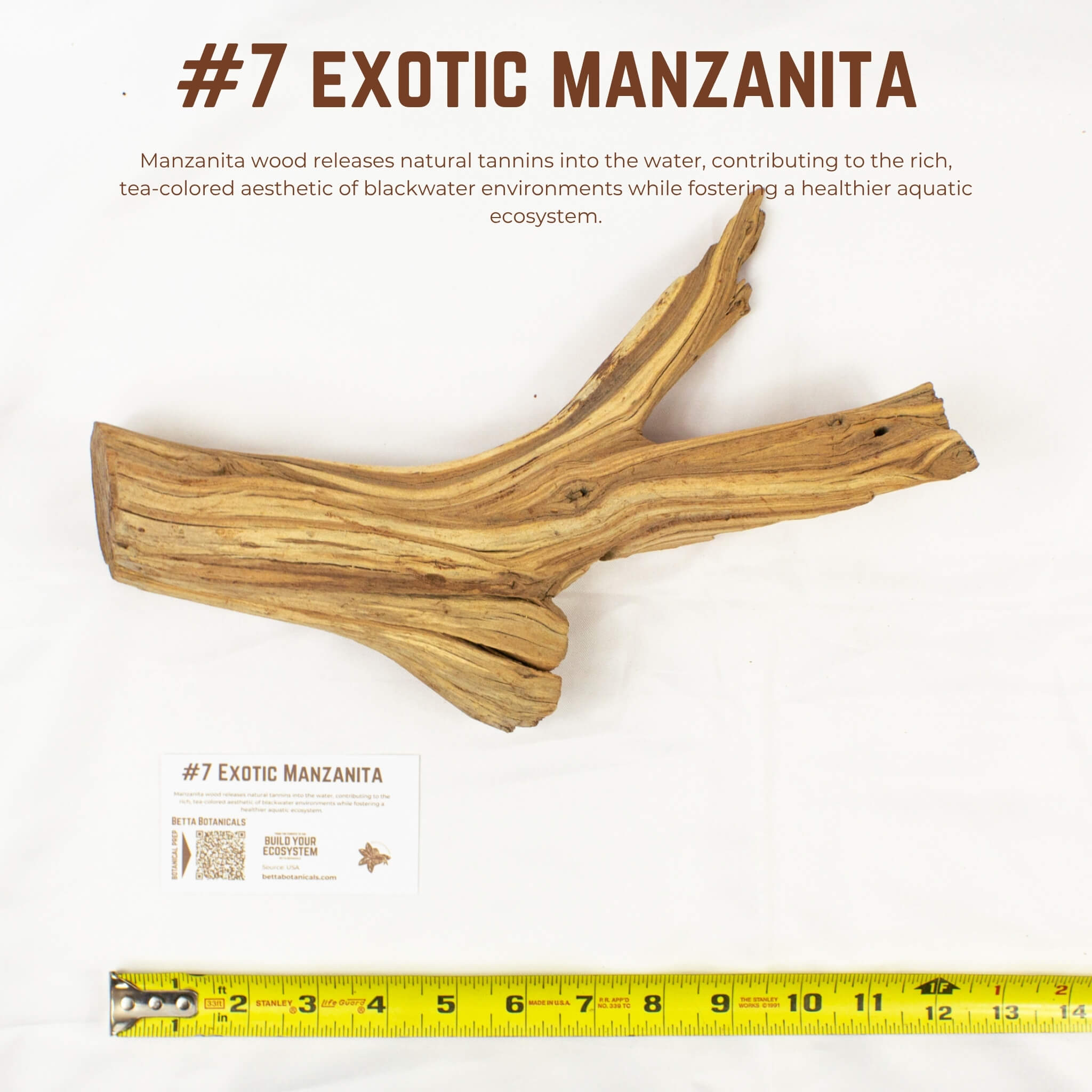 Exotic Manzanita | WYSIWYG Pieces