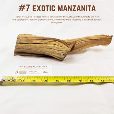 Exotic Manzanita | WYSIWYG Pieces