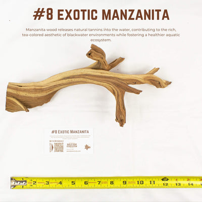Exotic Manzanita | WYSIWYG Pieces
