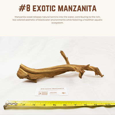 Exotic Manzanita | WYSIWYG Pieces