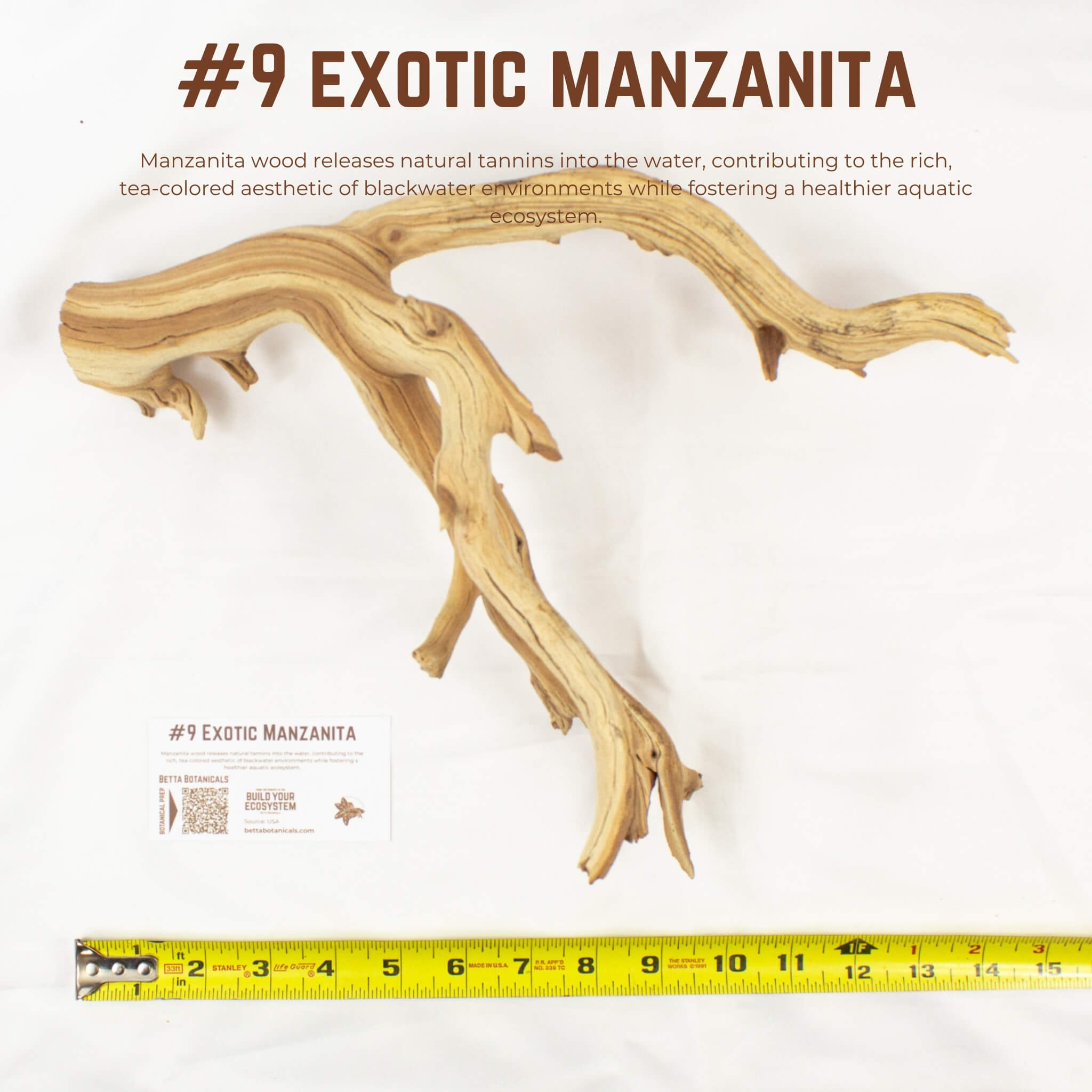 Exotic Manzanita | WYSIWYG Pieces