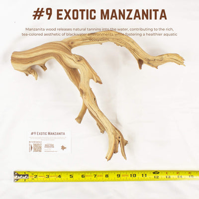 Exotic Manzanita | WYSIWYG Pieces