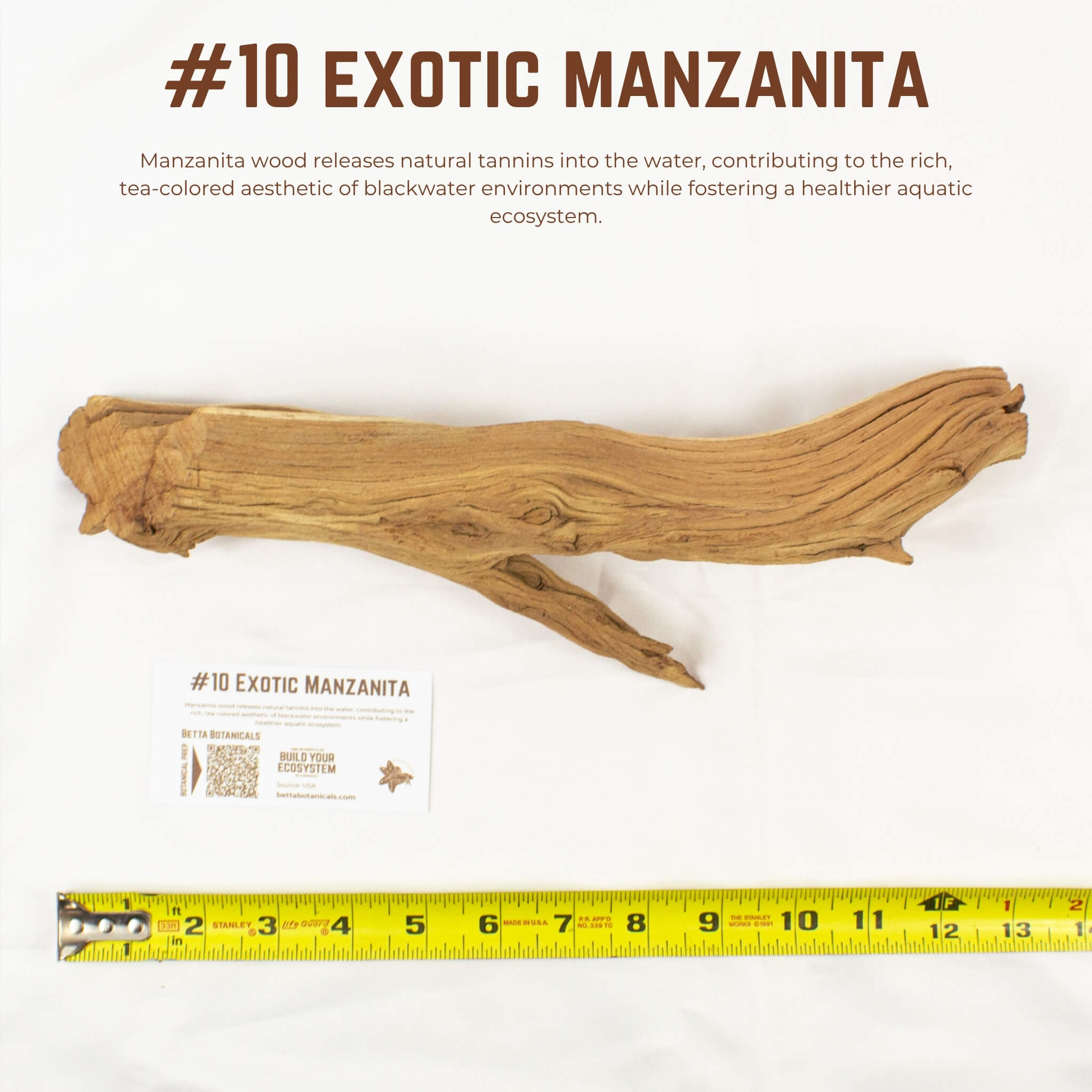 Exotic Manzanita | WYSIWYG Pieces