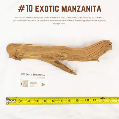 Exotic Manzanita | WYSIWYG Pieces