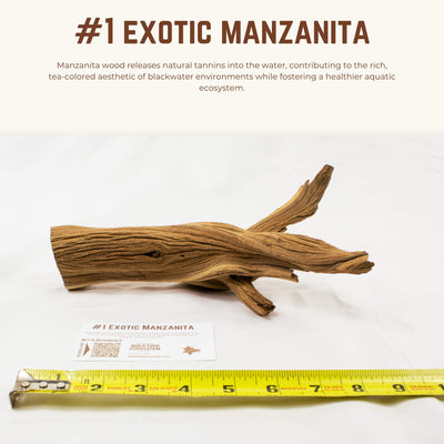 Exotic Manzanita | WYSIWYG Pieces