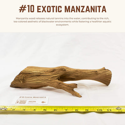 Exotic Manzanita | WYSIWYG Pieces