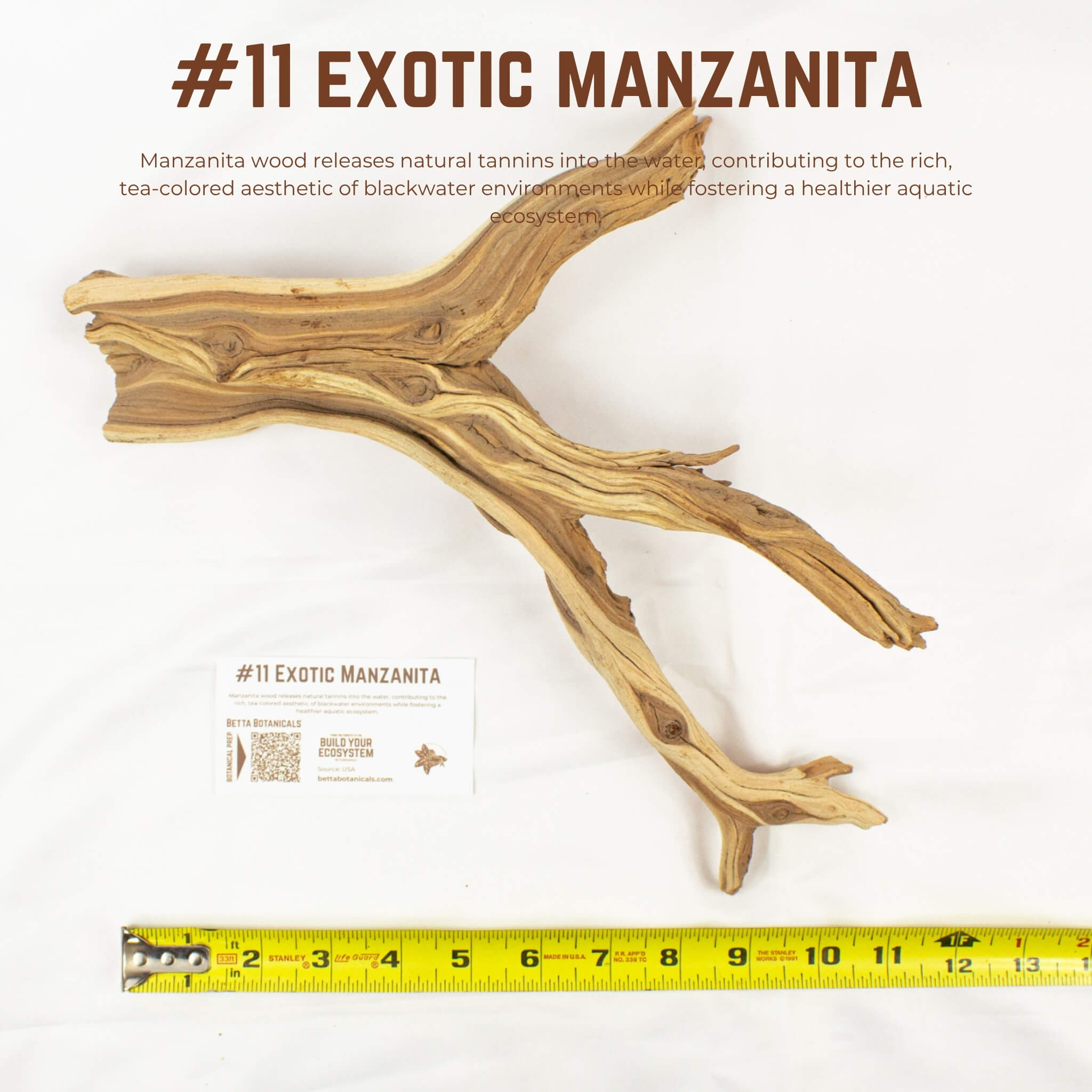 Exotic Manzanita | WYSIWYG Pieces