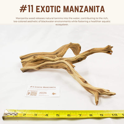 Exotic Manzanita | WYSIWYG Pieces