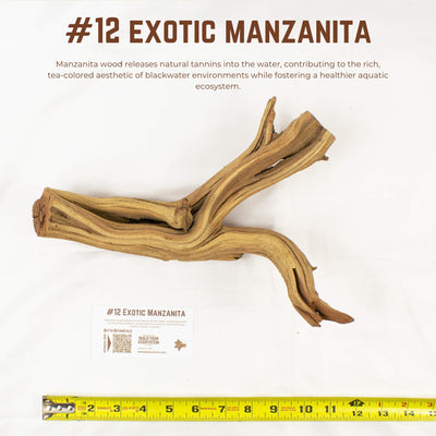 Exotic Manzanita | WYSIWYG Pieces
