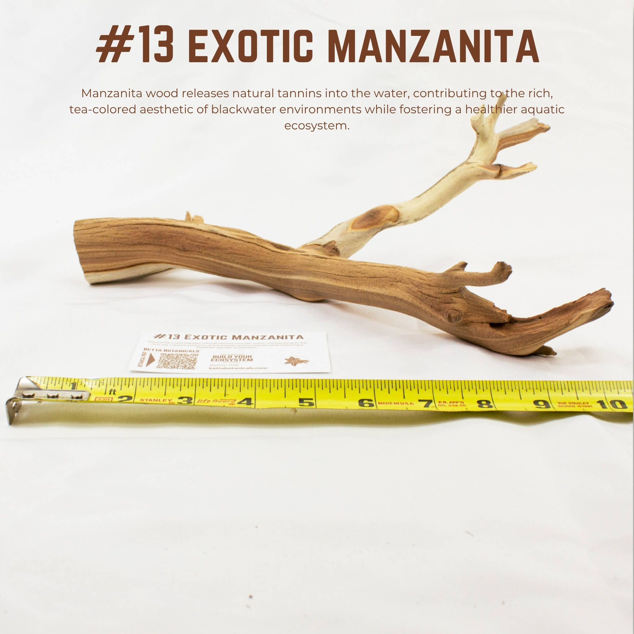Exotic Manzanita | WYSIWYG Pieces