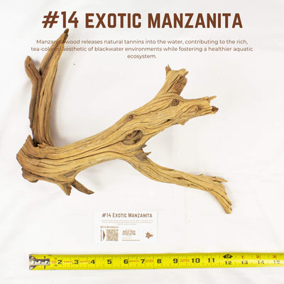 Exotic Manzanita | WYSIWYG Pieces