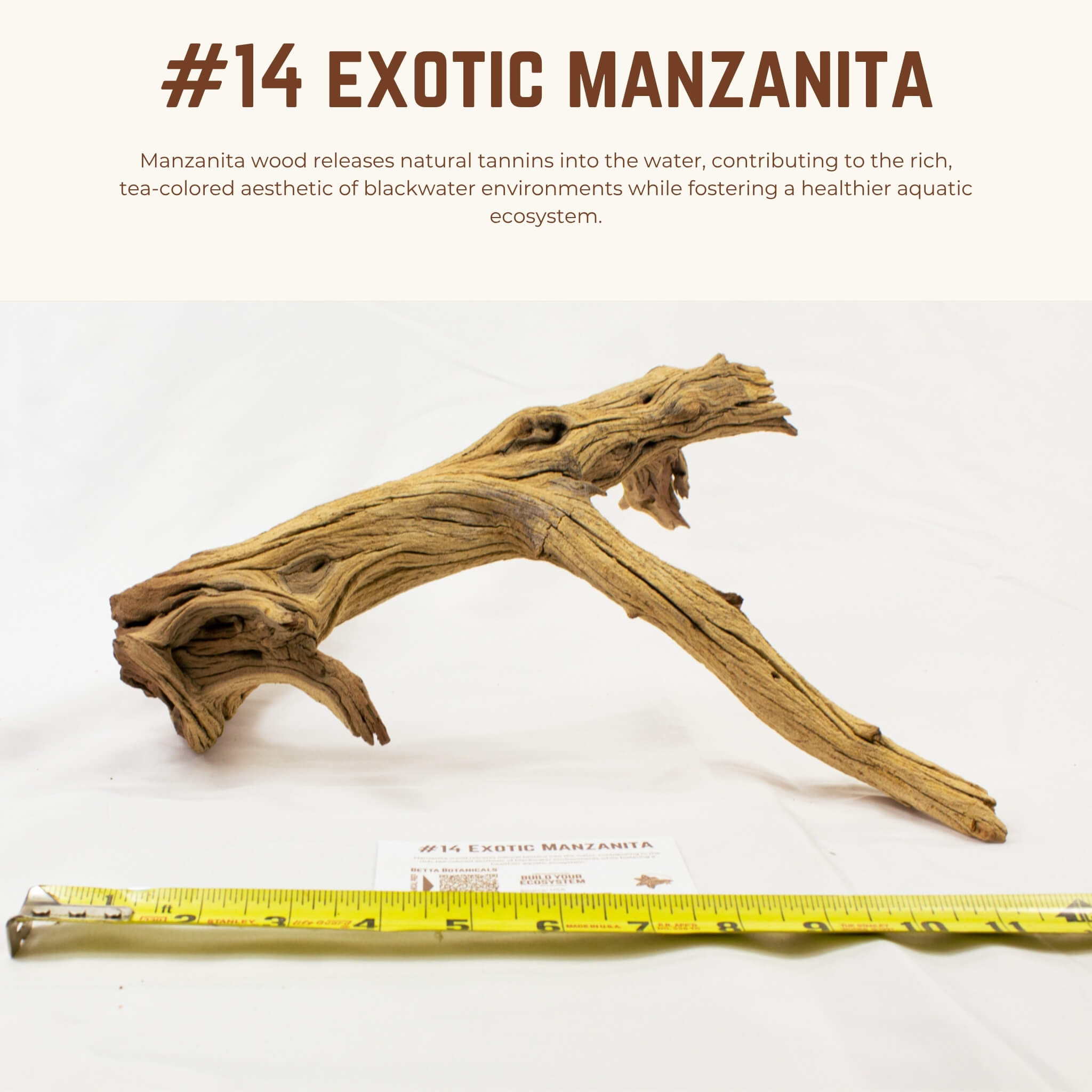 Exotic Manzanita | WYSIWYG Pieces