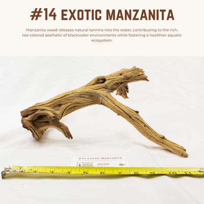 Exotic Manzanita | WYSIWYG Pieces