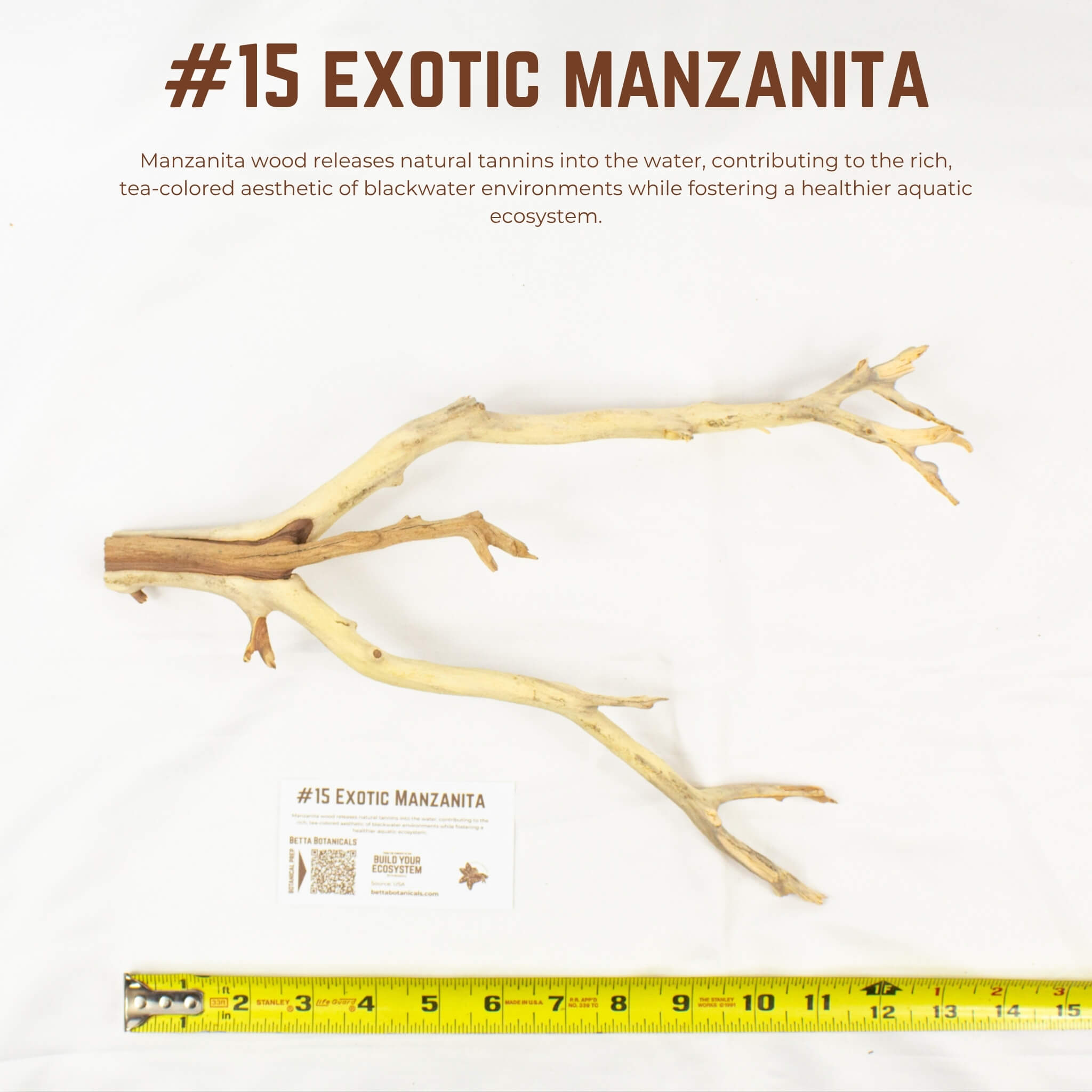 Exotic Manzanita | WYSIWYG Pieces
