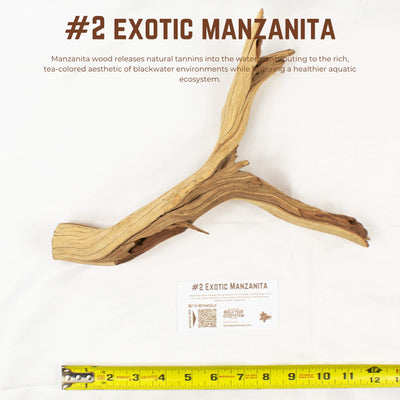 Exotic Manzanita | WYSIWYG Pieces