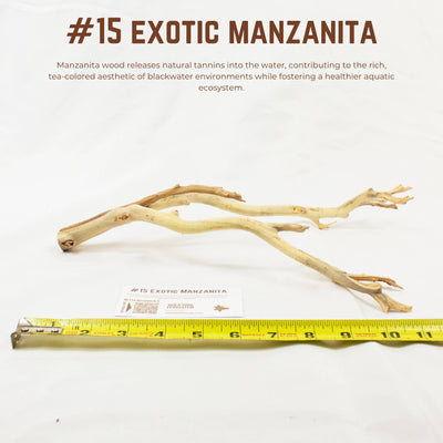 Exotic Manzanita | WYSIWYG Pieces