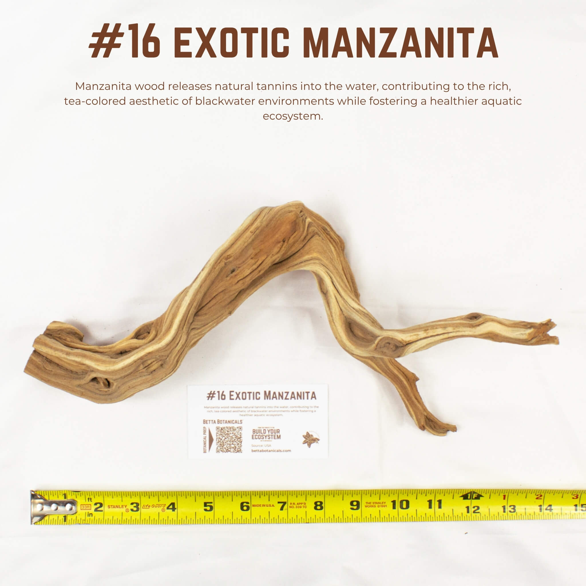 Exotic Manzanita | WYSIWYG Pieces