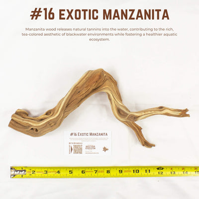 Exotic Manzanita | WYSIWYG Pieces