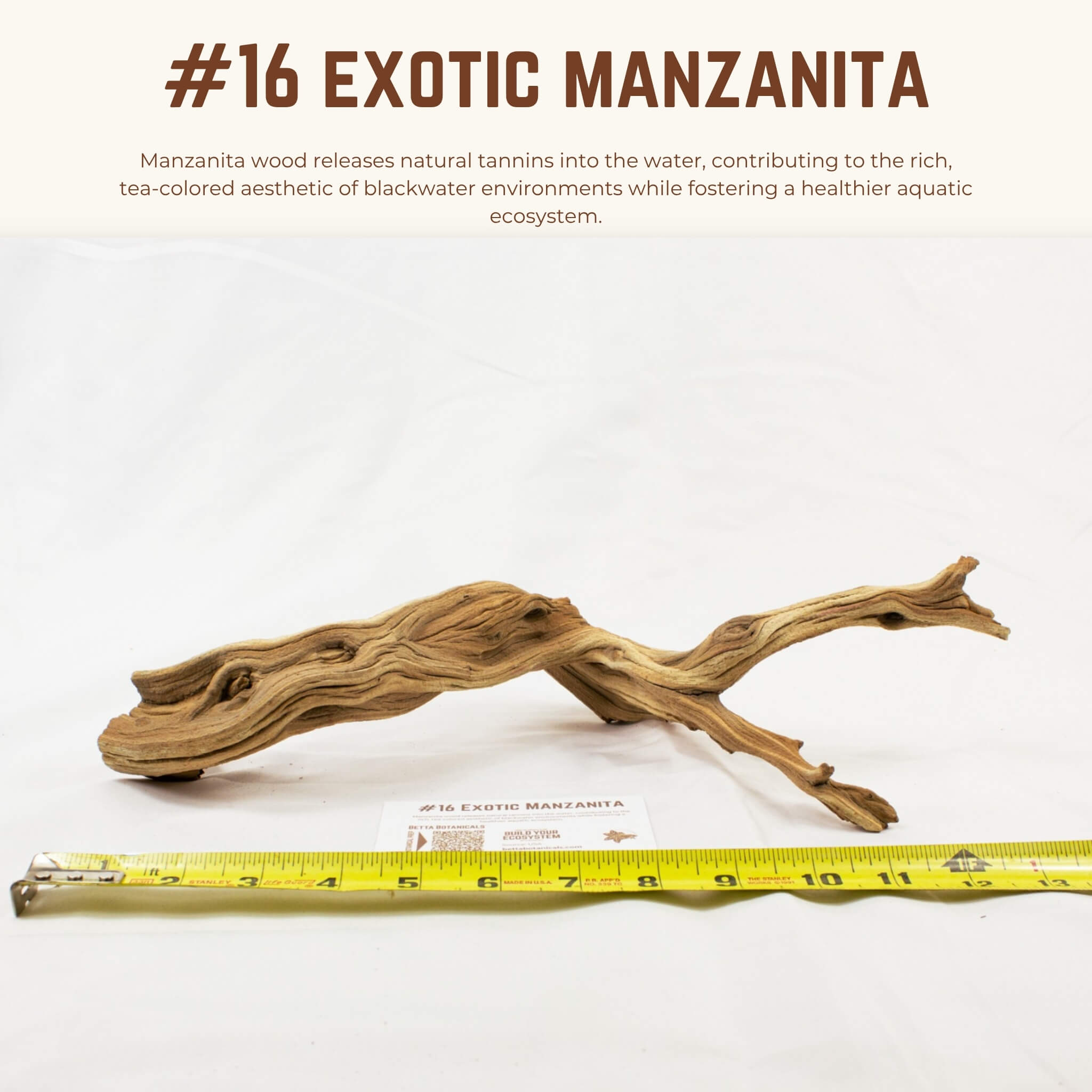 Exotic Manzanita | WYSIWYG Pieces
