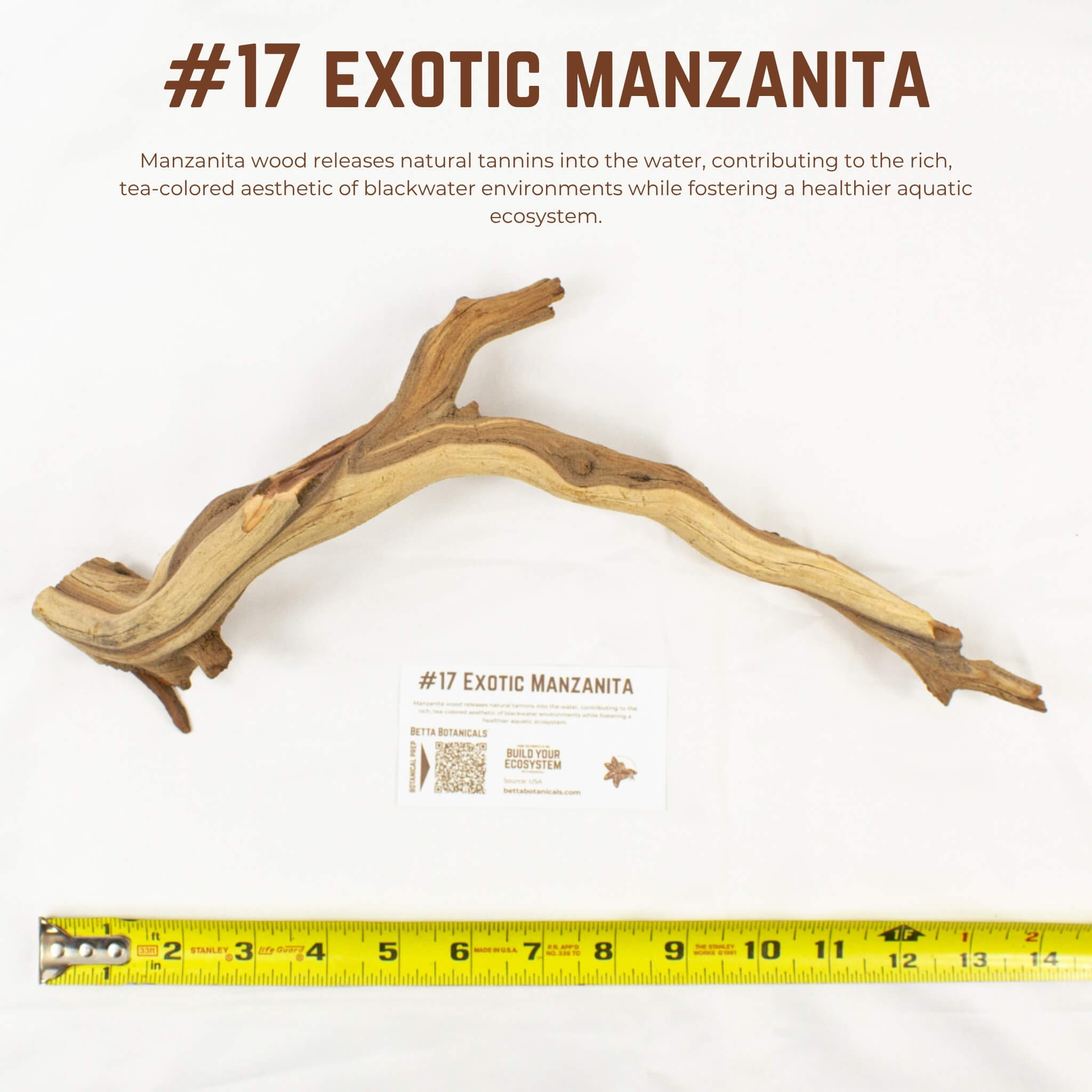 Exotic Manzanita | WYSIWYG Pieces